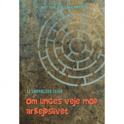 12 snørklede stier: - om unges veje mod arbejdslivet