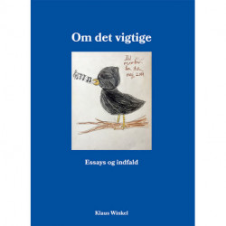 Om det vigtige: Essays og indfald