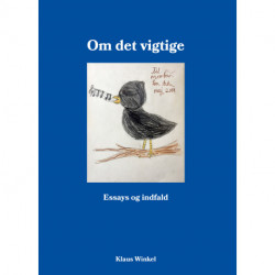 Om det vigtige: Essays og indfald