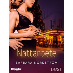 Nattarbete – erotisk novell