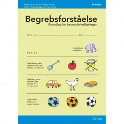 Begrebsforståelse, skema (10 stk)