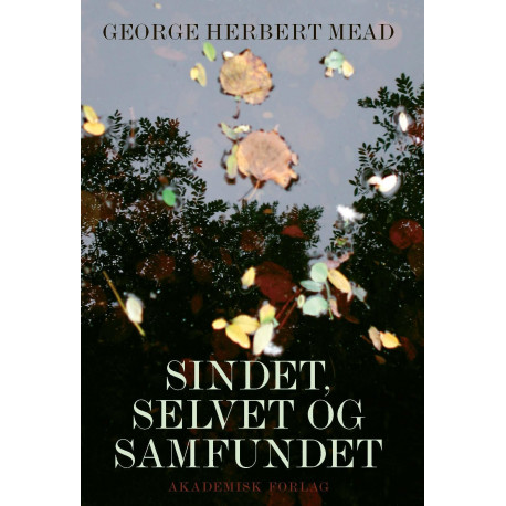 Sindet, selvet og samfundet