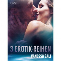 3 Erotik-Reihen von Vanessa Salt