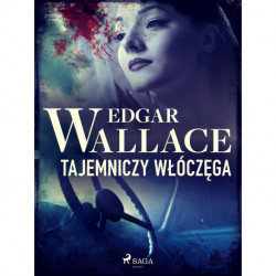 Tajemniczy włóczęga