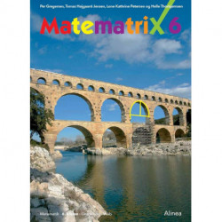 Matematrix 6, Grundbog/Web
