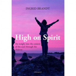 High on Spirit: An insight into the content of the soul through the chakras