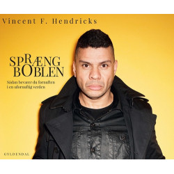 Spræng boblen: Sådan bevarer du fornuften i en ufornuftig verden