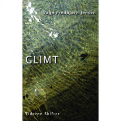 Glimt: kortfattede essays