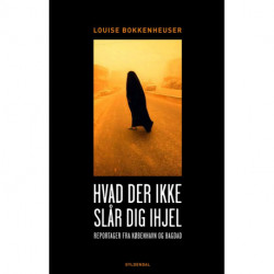 Hvad der ikke slår dig ihjel: reportager fra København og Bagdad
