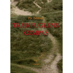 Trækfuglens kompas