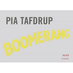 Boomerang: haiku