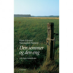 Den sommer og den eng: Udvalgte tidsbilleder