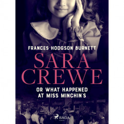 Sara Crewe or What Happened at Miss Minchin's