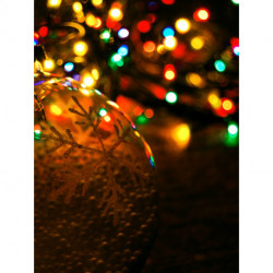 Snestorm: fortællinger om at komme hjem til jul