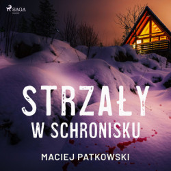 Strzały w schronisku