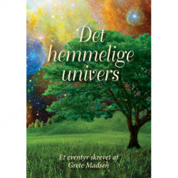 Det Hemmelige Univers