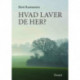 Hvad laver De her?: Essays