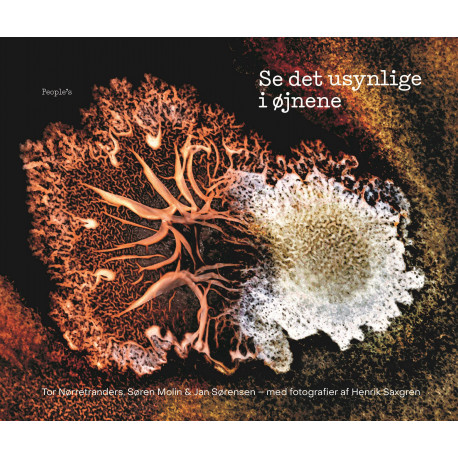 Se det usynlige i øjnene