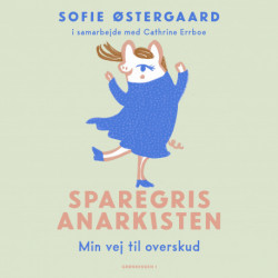 Sparegrisanarkisten: Min vej til overskud