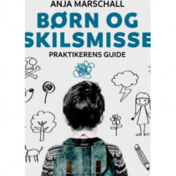 Børn og skilsmisse: Praktikerens guide