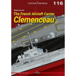 The French Aircraft Carrier Clemenceau