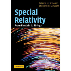 Special Relativity: From Einstein to Strings