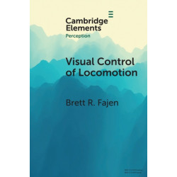 Visual Control of Locomotion