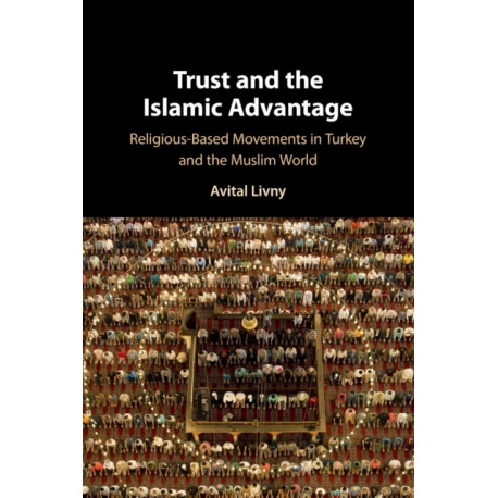 Trust and the Islamic Advantage: Religious-Based Movements in Turkey and the Muslim World