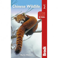 Chinese Wildlife