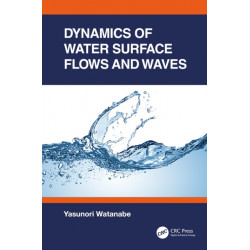 Dynamics of Water Surface Flows and Waves
