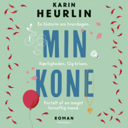 Min kone: En historie om hverdagen. Kærligheden. Og krisen. Fortalt af en meget fornuftig mand