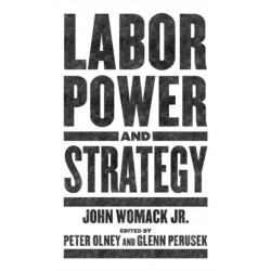 Labor Power and Strategy