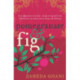 Pomegranate & Fig