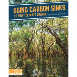 Using Carbon Sinks to Fight Climate Change