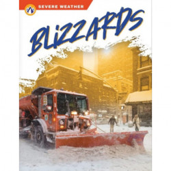 Blizzards