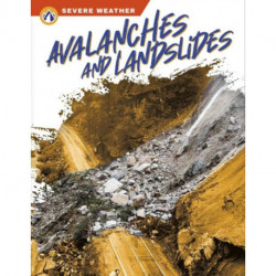 Avalanches and Landslides