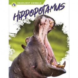 Hippopotamus
