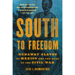 South to Freedom: Runaway Slaves to Mexico and the Road to the Civil War