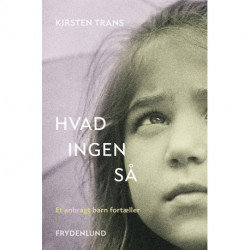 Hvad ingen så: – et anbragt barn fortæller