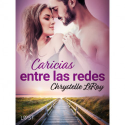 Caricias entre las redes – una novela erótica