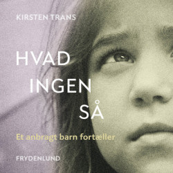 Hvad ingen så: – et anbragt barn fortæller