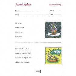 Læseevaluering, Sætningslæs á 10 stk.