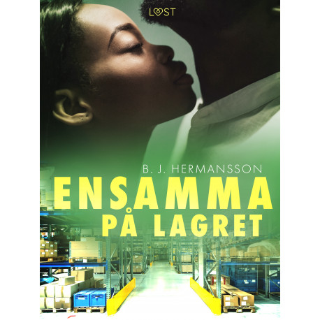 Ensamma på lagret - erotisk novell