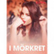 I mörkret – erotisk novell