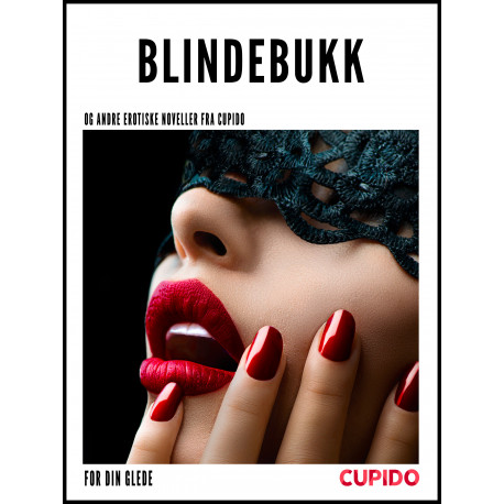 Blindebukk – og andre erotiske noveller fra Cupido
