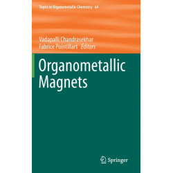 Organometallic Magnets