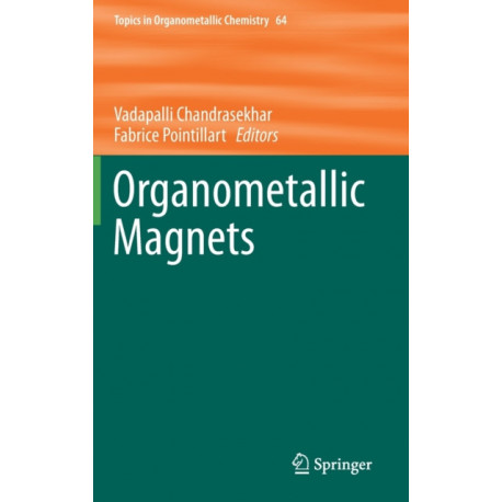 Organometallic Magnets