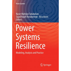 Power Systems Resilience: Modeling, Analysis and Practice