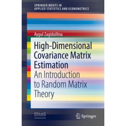 High-Dimensional Covariance Matrix Estimation: An Introduction to Random Matrix Theory