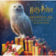 Harry Potter: Hedwigs julekalender: En magisk pop-op julekalender